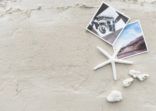 Denizyıldızı yaz kum üzerinde — Stok fotoğraf