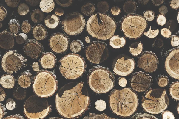 Högen av trä stammar — Stockfoto