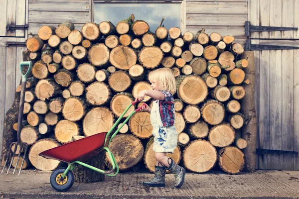 Liten pojke med trädgård vagn — Stockfoto