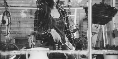 Bahçıvan bitki ile çalışma