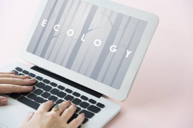 Dizüstü bilgisayarda çalışan kadın