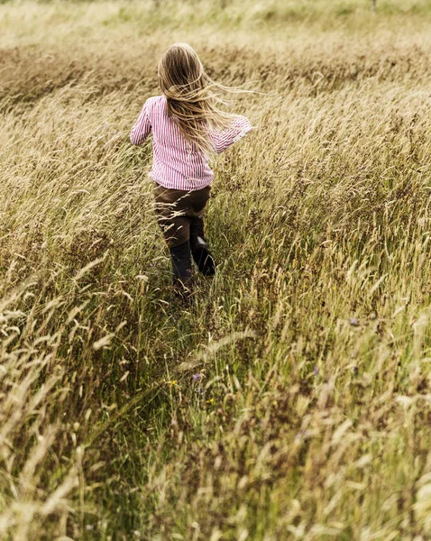 Kleines Mädchen auf dem Feld — Stockfoto
