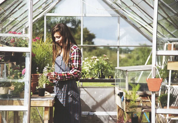 Gärtner arbeitet mit Pflanzen — Stockfoto