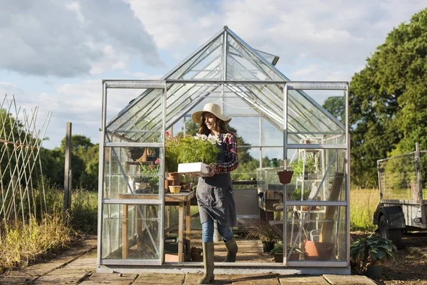 Bahçıvan bitki ile çalışma