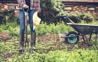 Kadın çiftlik işçisi