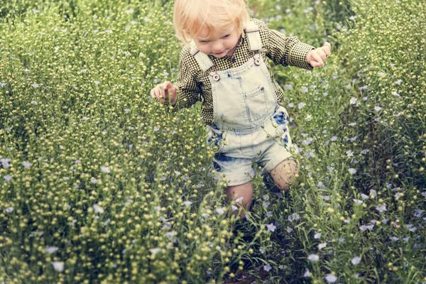 Niño en el campo de flores —  Fotos de Stock