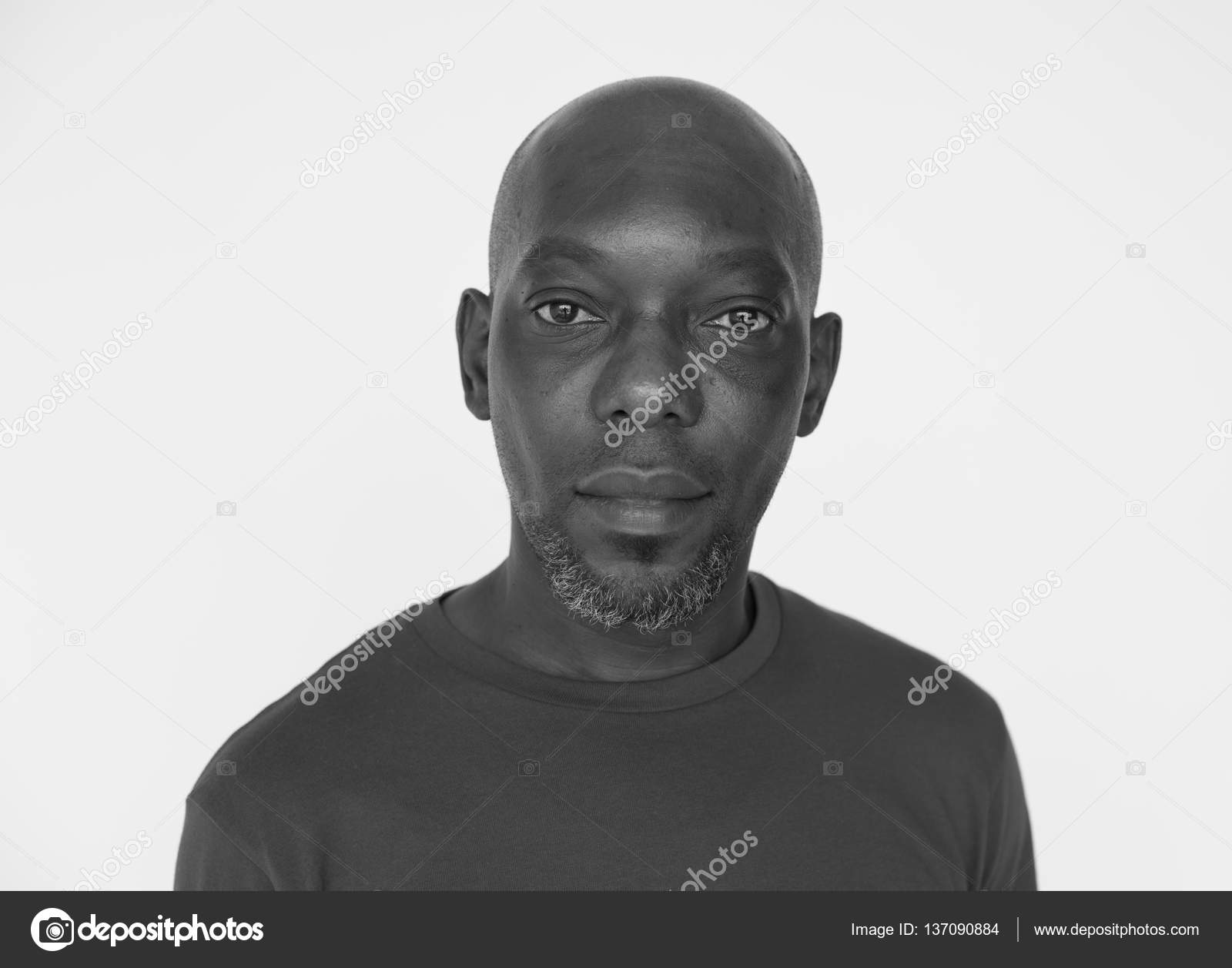africké pusy obrázky