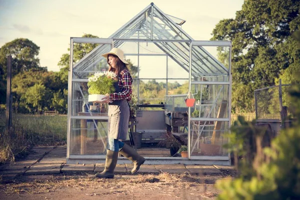 Trädgårdsmästare arbetar med växter — Stockfoto