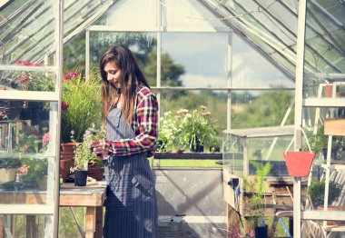 Bahçıvan bitki ile çalışma