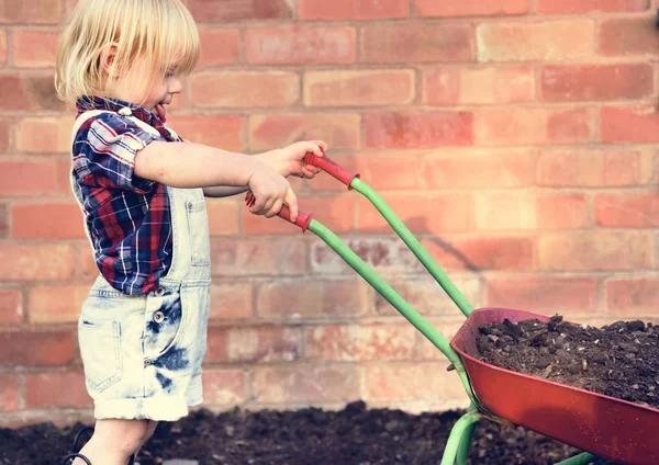 Little boy with garden trolley — Stock Photo, Image