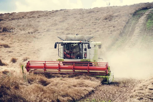 Cultivate Machine collecting crop — Stock Photo, Image