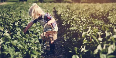 Küçük çocuk toplama kırpma