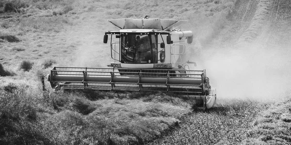 Cultivate Machine collecting crop — Stock Photo, Image