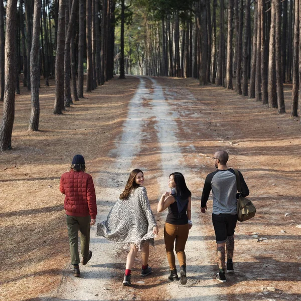Freunde spazieren im Wald — Stockfoto