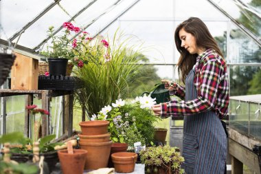 Bahçıvan bitki ile çalışma