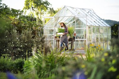 Bahçıvan bitki ile çalışma