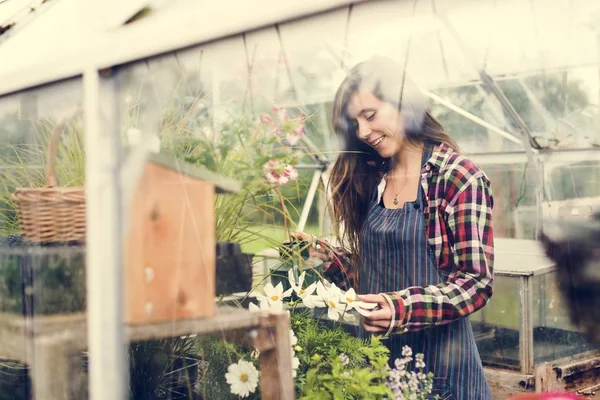 Gardener working with plants — Stock Photo, Image