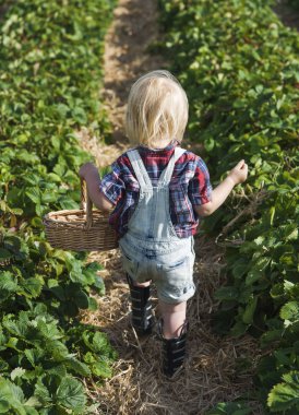 Küçük çocuk toplama kırpma