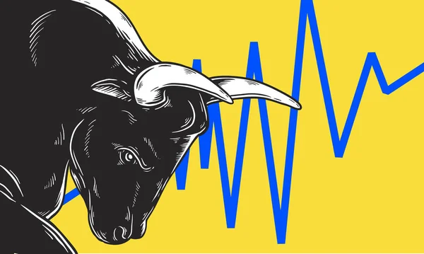 What does a Bull Market tell us ?