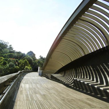 Boş patika ve ağaçlar