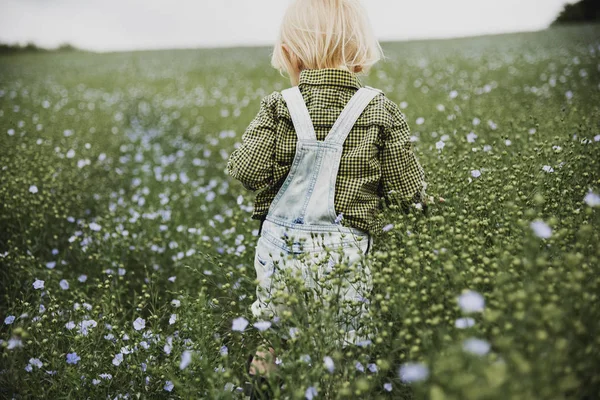 Kleiner Junge im Blumenfeld — Stockfoto