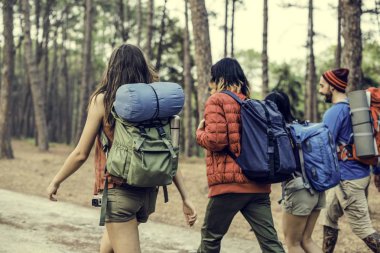 ormanda yürüyüş arkadaş