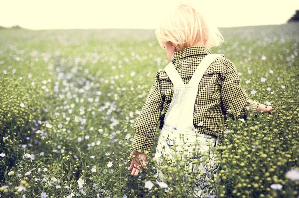 Chlapeček v květu pole — Stock fotografie