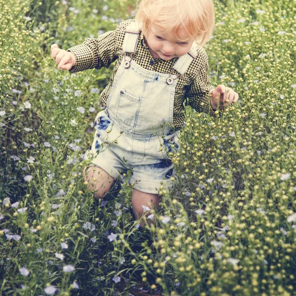 Niño en el campo de flores — Foto de Stock