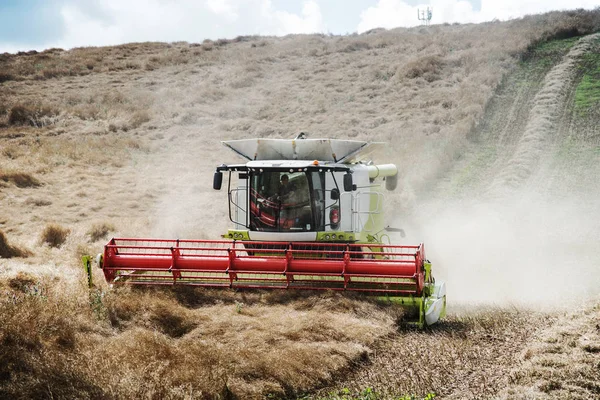 Combine harvester in Field — Stock Photo, Image