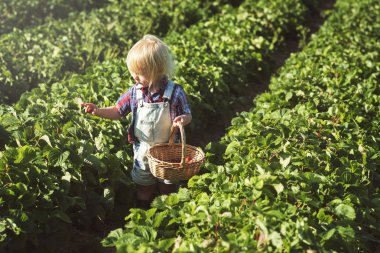 küçük çocuk alanında Bahçe