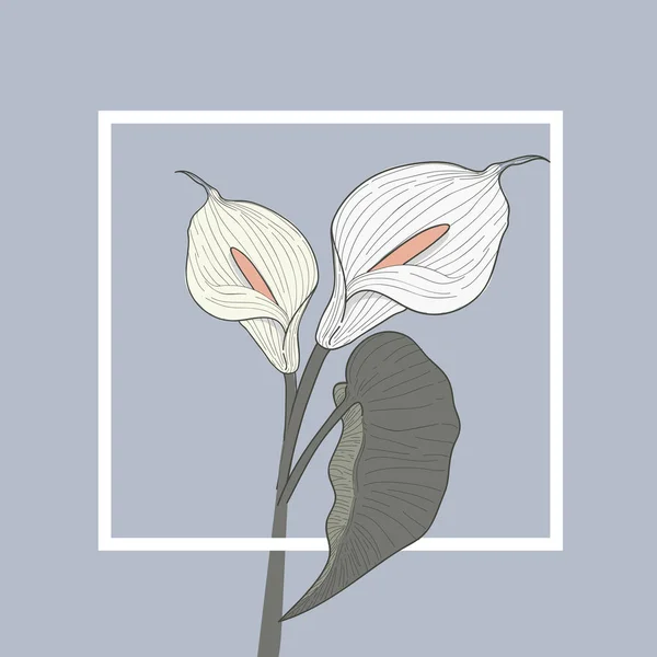 Kunstwerk aus Anthurium-Blume — Stockvektor