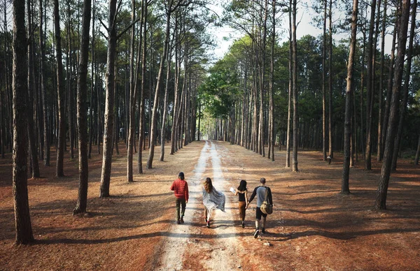 Amis marchant dans la forêt — Photo