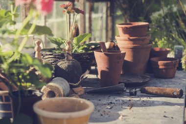 bahçe araçları ve bitkiler