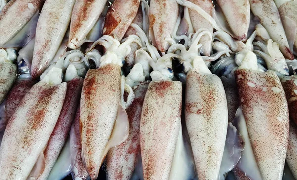 Закрыть Squid на рынке — стоковое фото