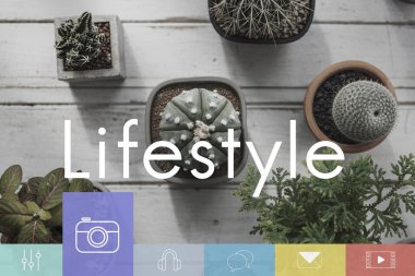 Dekoratif yeşil bitkiler