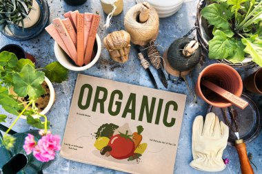 bahçe araçları ve bitkiler