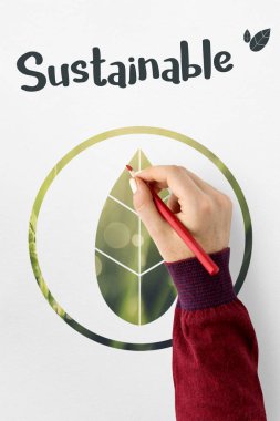 el ve ekoloji kavramı 