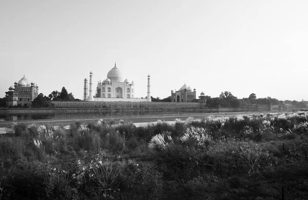 Świątynia Taj Mahal — Zdjęcie stockowe