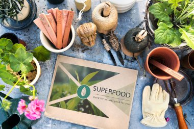 bahçe araçları ve bitkiler