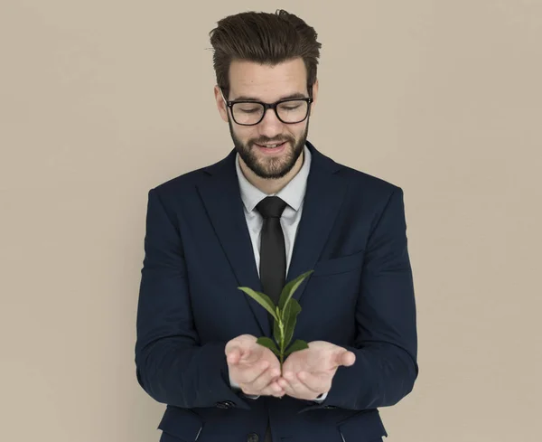 Pengusaha memegang tanaman hijau kecil — Stok Foto