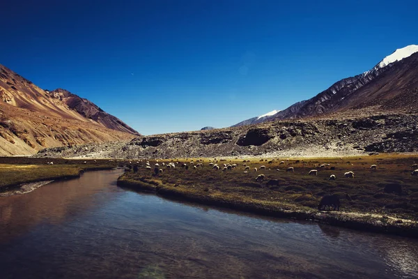 Beautiful mountains and river — Stock Photo, Image