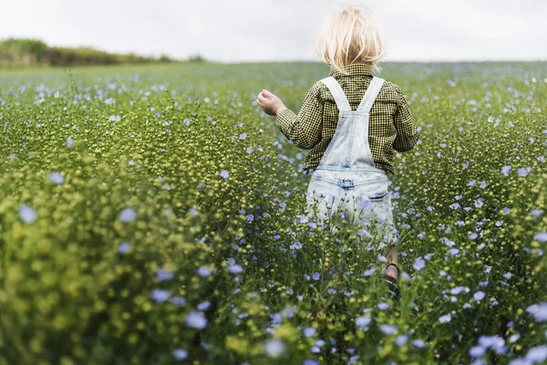 花の草原を歩いて子供 — ストック写真