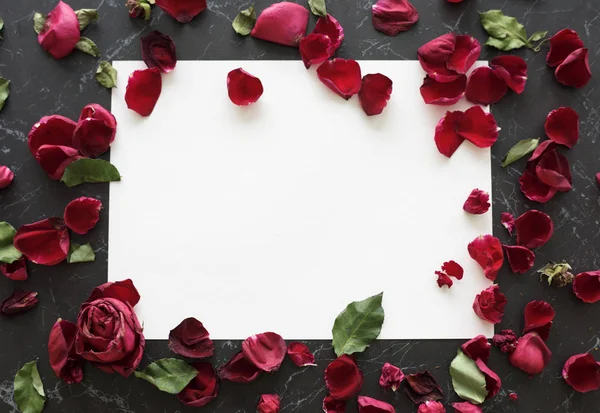 Papel blanco con pétalos de rosa — Foto de Stock