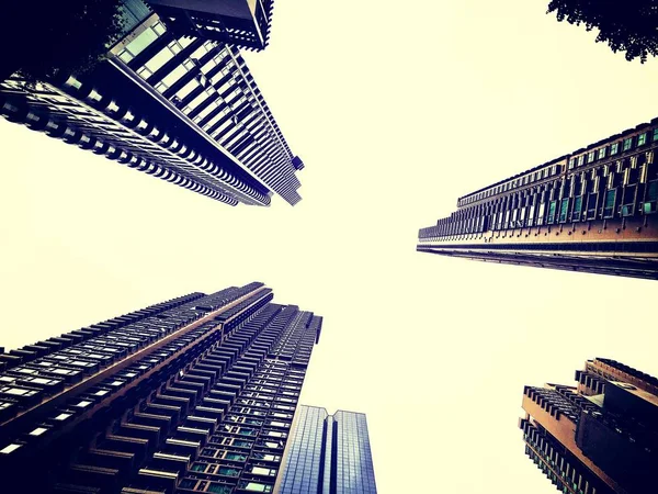 Business Skyscapers in city