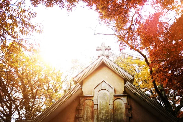 Église ancienne et arbres — Photo