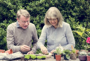 Üst düzey çift toplama tesisleri 