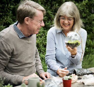 Üst düzey çift toplama tesisleri 
