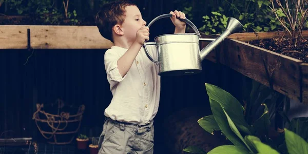 Boy regar las plantas en el jardín —  Fotos de Stock
