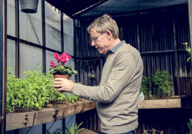 Bitkiler ile komuta sizde