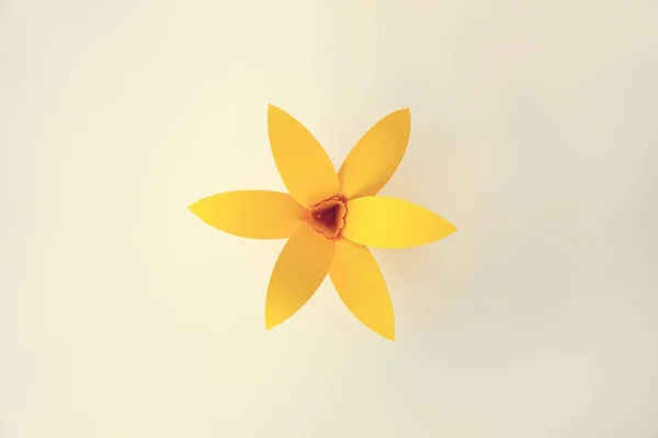 Handmade Papercraft Flower — Stock Photo, Image